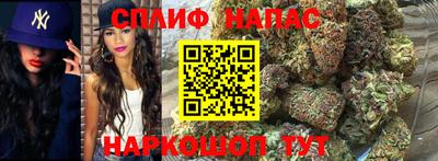 тгк Обь