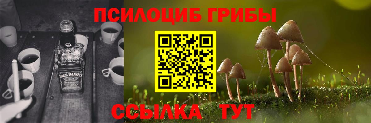 Псилоцибиновые грибы ЛСД Тобольск
